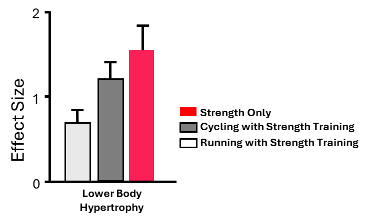 Cycling vs Running effects on Hypertrophy