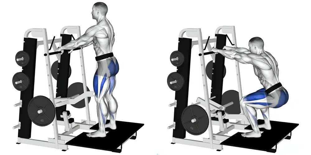 Diagram of the belt squat on how to perform the exercise