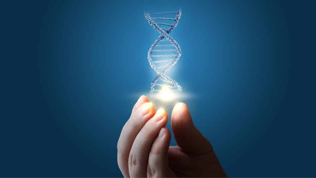 A hand holding a dna strand